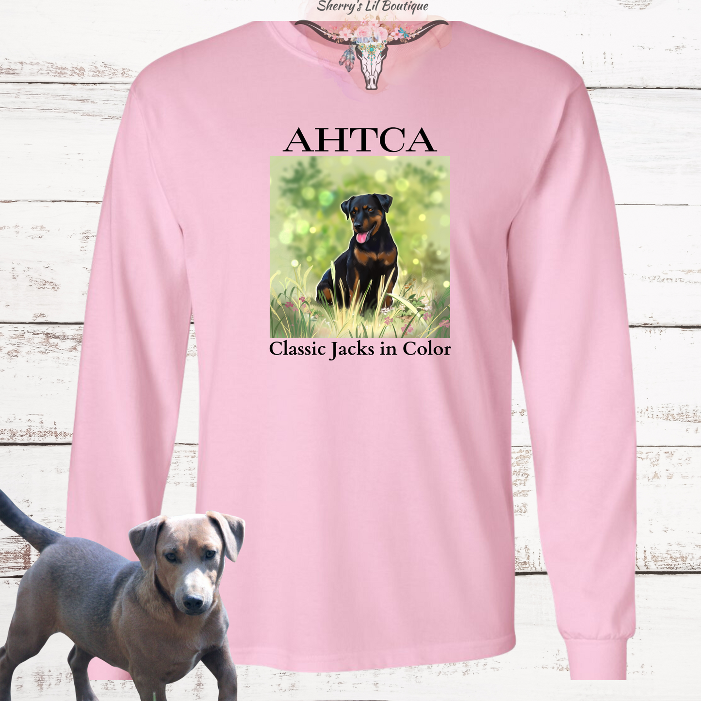Pink long sleeve tee with AHTCA graphic design