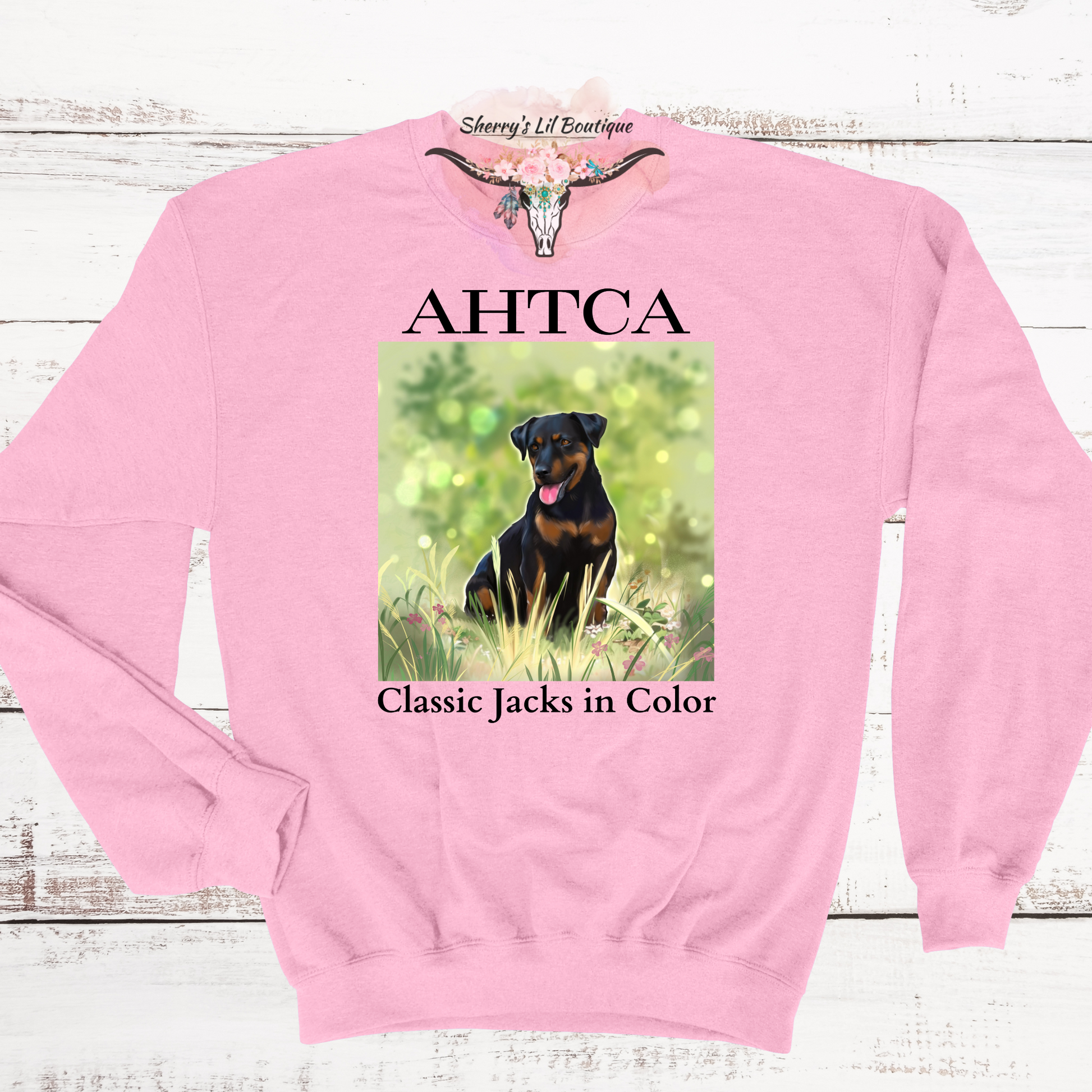 Pink sweatshirt with AHTCA graphic design