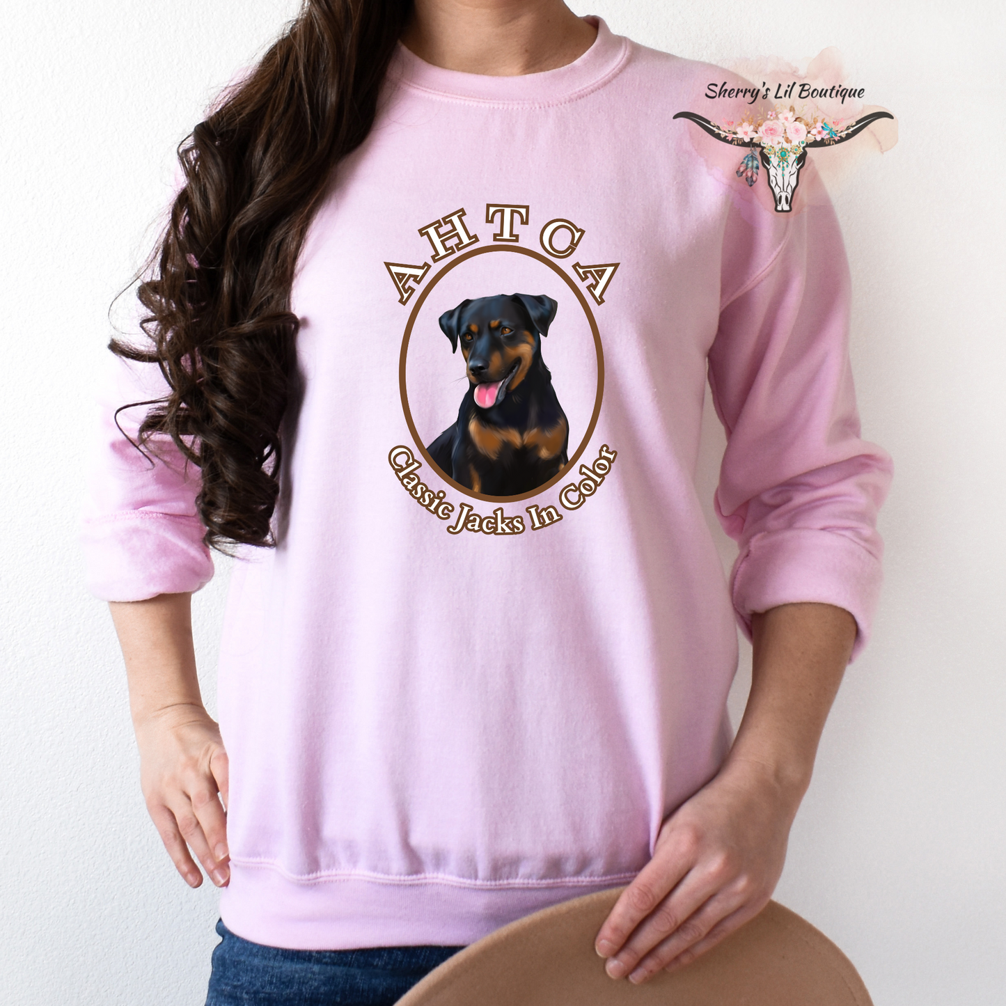 Pink sweatshirt with AHTCA graphic design