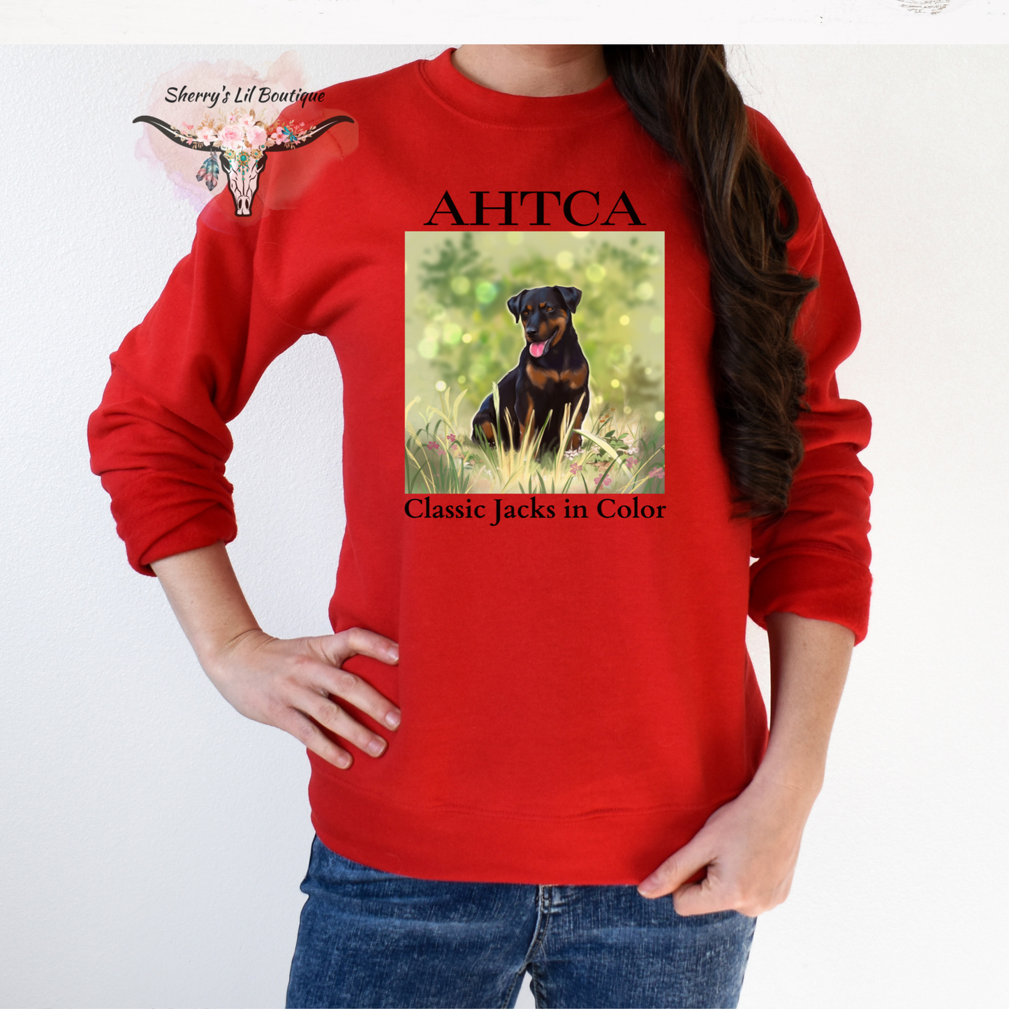 Red sweatshirt with AHTCA graphic design